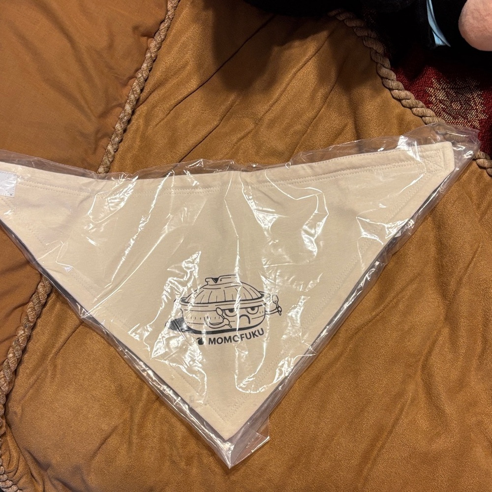 Momofuku Beige baby bib